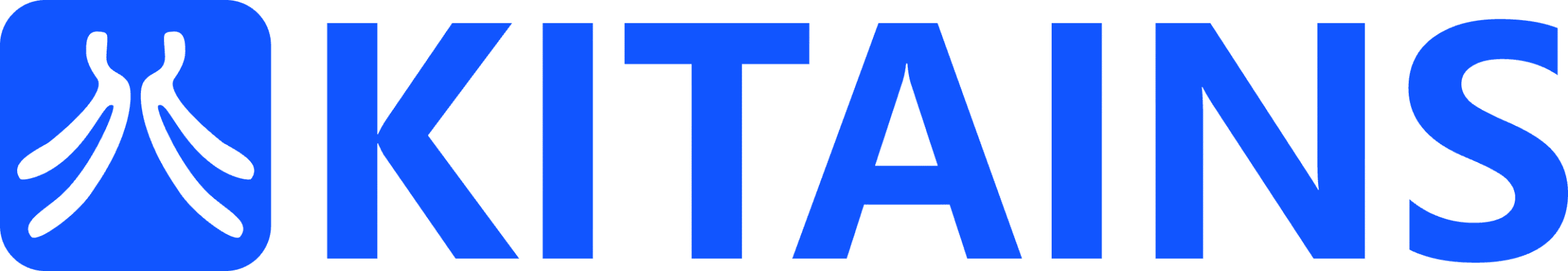 株式会社KitaINS